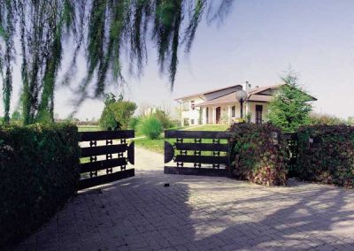 frog_villa